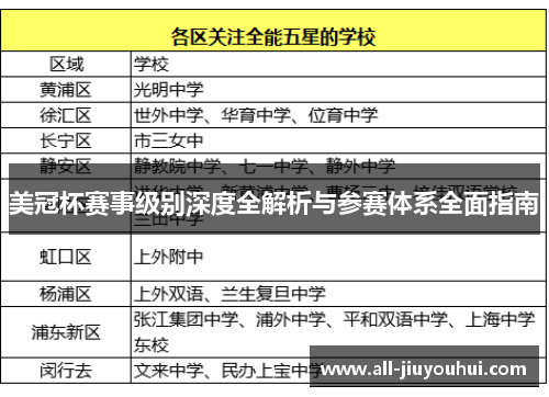 美冠杯赛事级别深度全解析与参赛体系全面指南