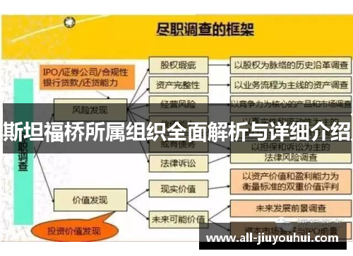 斯坦福桥所属组织全面解析与详细介绍